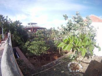 Villa Morgana Cape Verde Resort Calheta Zewnętrze zdjęcie